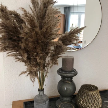 

10/20pcs pampas grass decor plants home wedding decor dried flowers bunch feather flowers natural free shipping