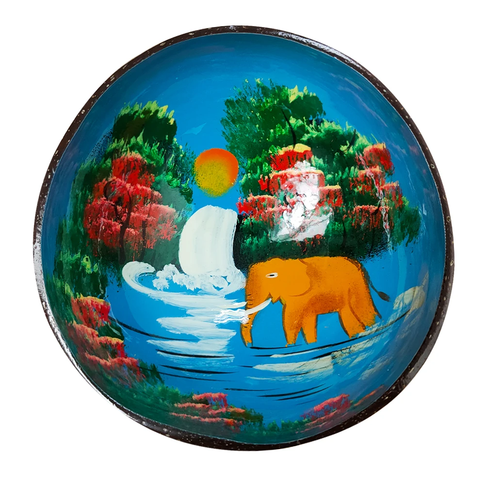 Hand Painted Coconut Bowls Shop The Veganary