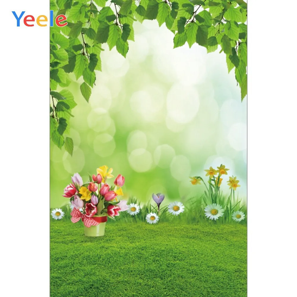 Yeele пейзаж Портретные листья газон Dreamy декоры фотографии фоны