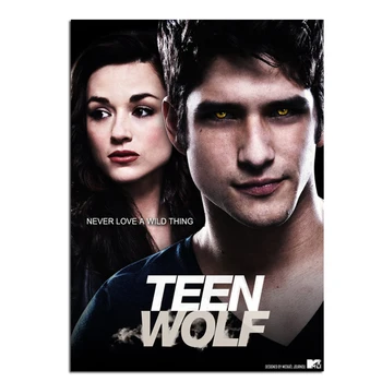 

diamond painting cross stitch Teen Wolf Posters Movie for Wall Stickers Home Decoration Bedroom painting diy diamond mosaic gift