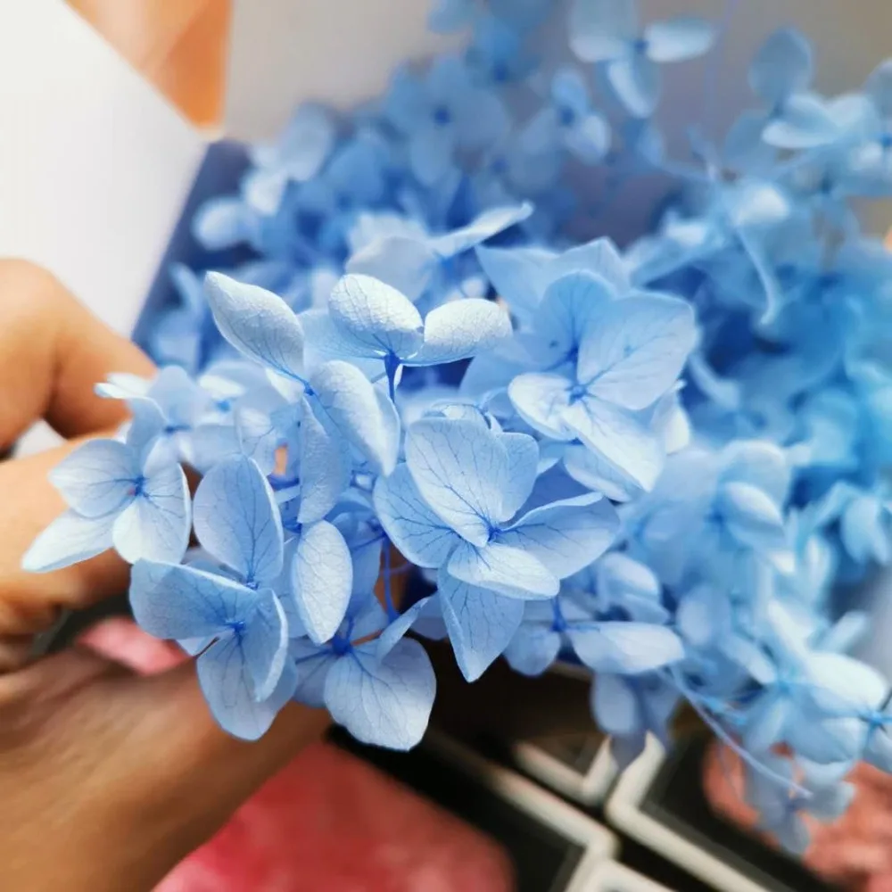 0aaa0e8a00b7ff7e5073c3c63793317