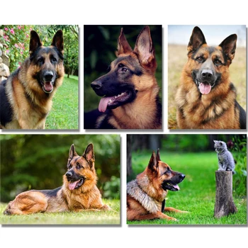 

Animal,Diamond Painting,German Shepherd Dog,Full,Diamond Embroidery,5D,DIY,Square Rhinestone,Needlework,Cross Stitch,Decoration