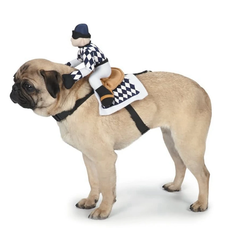 pet cargo american airlines