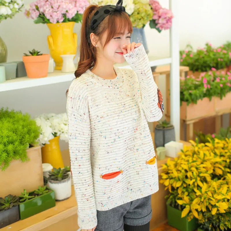 Loose Cashmere Sweater Pullovers Women Fashion Winter Sweater O-neck Knit Tops Owl Character with Pocket Korean