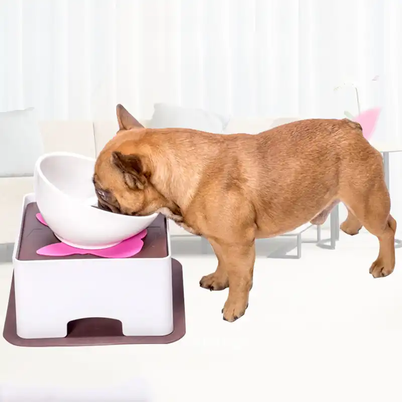 adjustable dog dishes