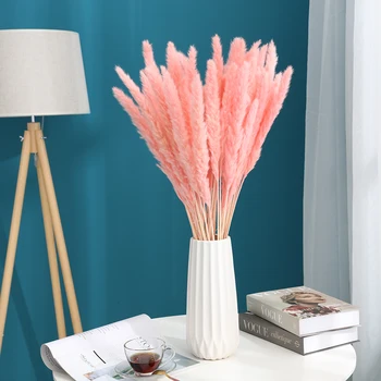 

60cm Long Bulrush Natural Dried Small Pampas Grass Phragmites Artificial Plants Wedding Flower Bunch for Home Decor Fake Flowers