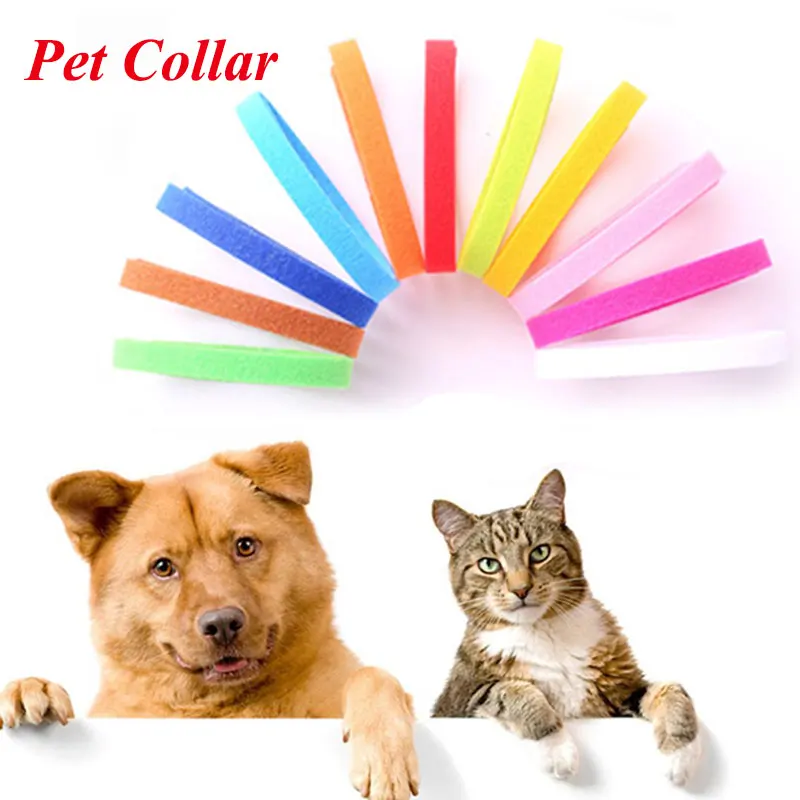 kitten whelping collars