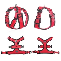 Breathable Mesh Dog Harness