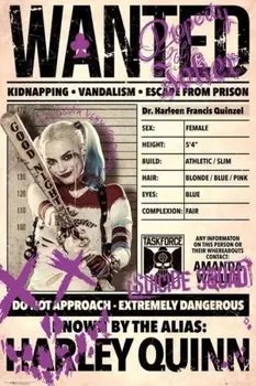 

HARLEY QUINN WANTED SUICIDE SQUAD SILK POSTER Decorative painting 24X36INCH