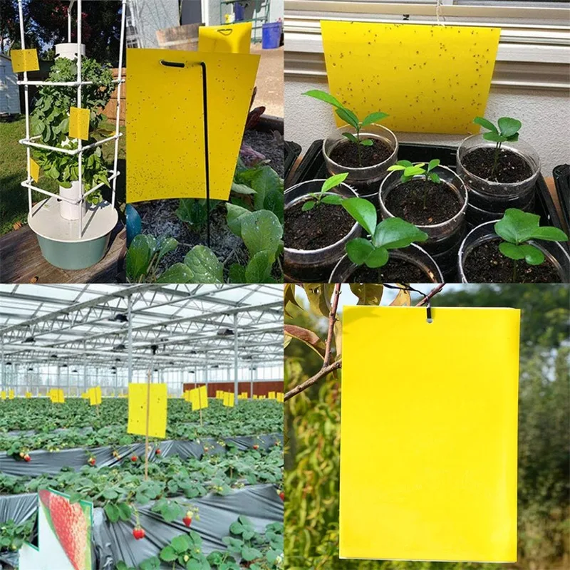 

10/20/30Pcs Double-sided Tape Hanging Flies and Bees Trap Insect Pests Non-toxic Traps Suitable for Garden Garden Farm Warehouse