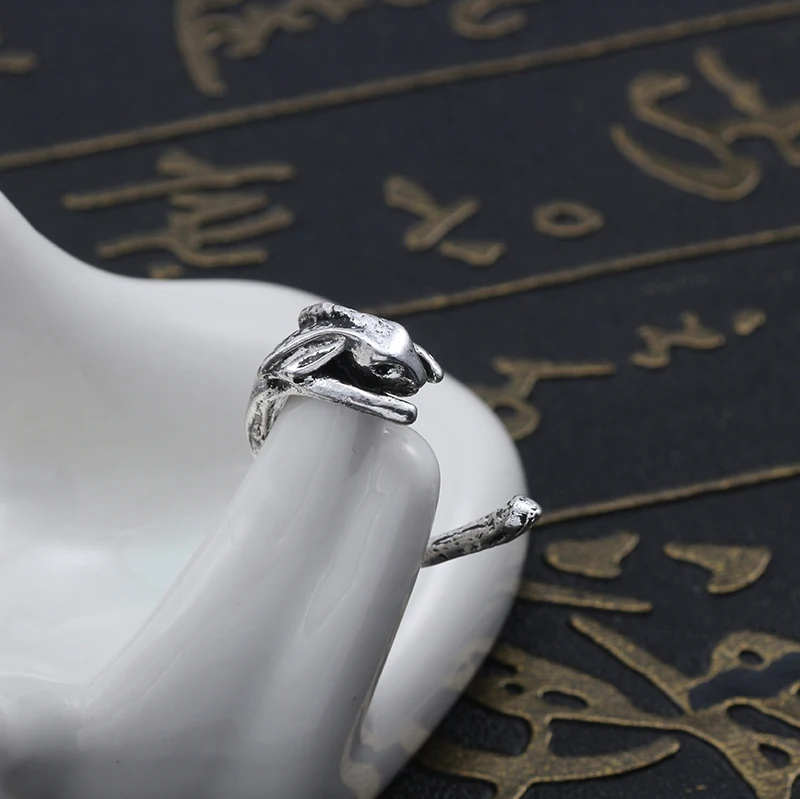 HTB1tRB_XjzuK1RjSspeq6ziHVXan