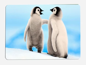 

Penguin Bath Rug Blue Background Bathroom Carpet Home Floor Animal Bath Toilet Carpet Bath Mat Water Absorption Bathroom Mat