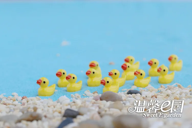 3355241558_393786582