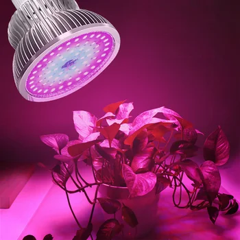 

P30 50W LED Growth Light Bulb Greenhouse Plants Vegetables Hydroponic Grow Lamp Clip-on Grow Lamp for Plants