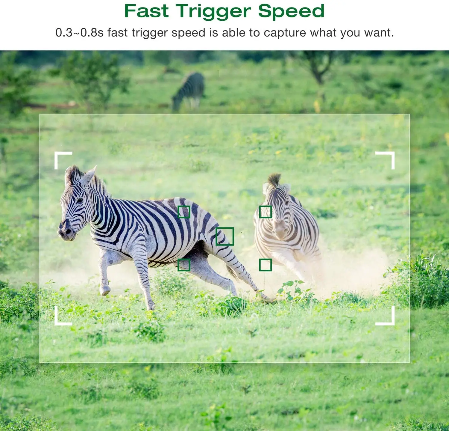 Mini Trail Hunting Camera 20MP 1080P Wild Photo Trap Mini600 Wildlife Forest Animal Cameras iP65 Waterproof Surveillance Track