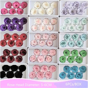 

6PCs/Box Preserved Fresh Rose Flower Heads Class B 5-6CM Roses Dried Flower Handmade DIY Eternal Flower Arrangement