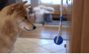 Https Encrypted Tbn0 Gstatic Com Images Q Tbn 3aand9gcsauhrc5lq2kzfymzbeqmckfpqhtegepoft223he 7zye7poinz