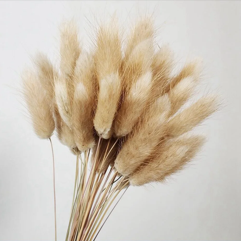 30pcNatural Dried Flowers Bouquet DIY Wedding Home Decoration Rabbit Tail Grass Real Flowers - Цвет: primary color