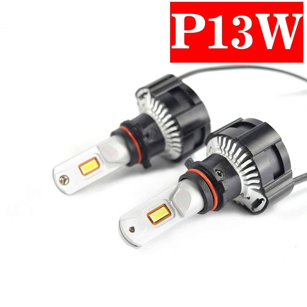 P13W (1)