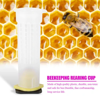 

100 Beekeeping Rearing Cup Kit Queen Bee Hair Roller-Cages Cell Holder Fixture
