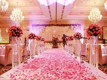 

Viskey Flowers Petals for Wedding Decoration, Pack of 1000 Pcs White and Light Pink