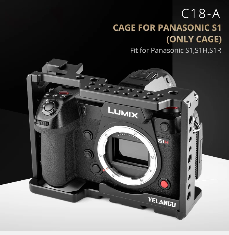 C18-A-英文_01