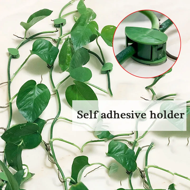 Invisible Self Adhesive Plants Bracket Plant Root Fixed Buckle Leaf