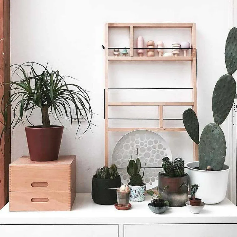 O1CN01LCTZBA1SJ5nDOVDjc_!!3788