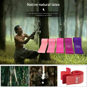 

Resistance Bands Loop Set of 5 Exercise Workout CrossFit Fitness Yoga Booty Band