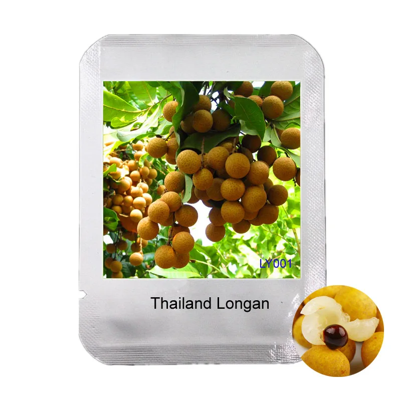 Легкая профессиональная упаковка для выращивания 2 шт тайское Longan растение для дома и сада, экстра-сладкий Экстра-Большой бонсай фруктовый Флорес,# LY001