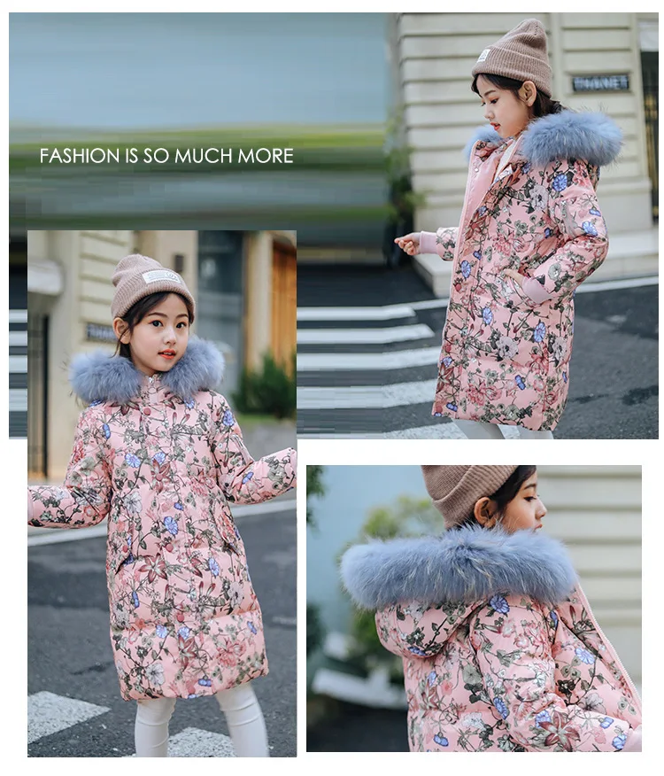 10138996353_1903448628