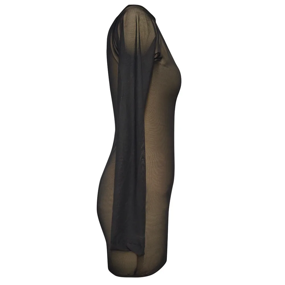 transparent panties (31)