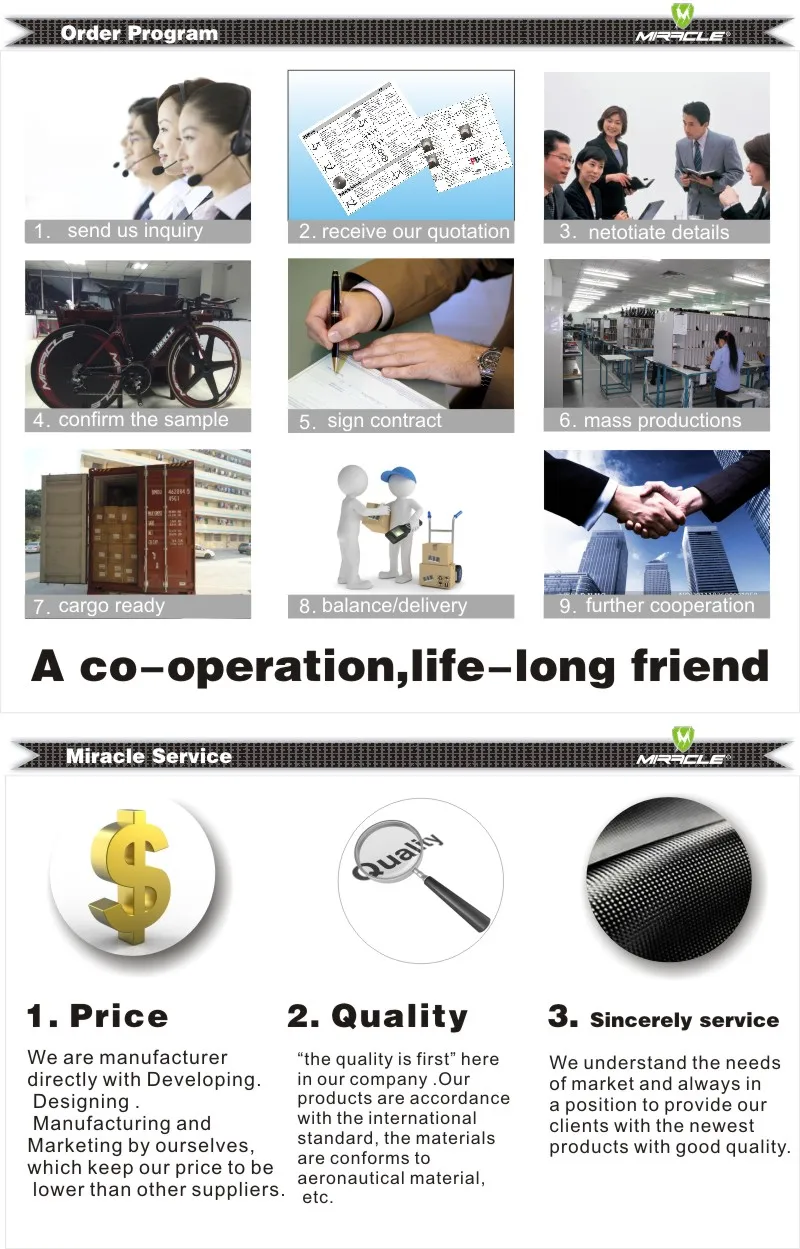 Top Falco Carbon TT Bike Frame,Disc brake T700 Full carbon fiber triathlon Bike,high quality Carbon time trial  bicycle Frame 13