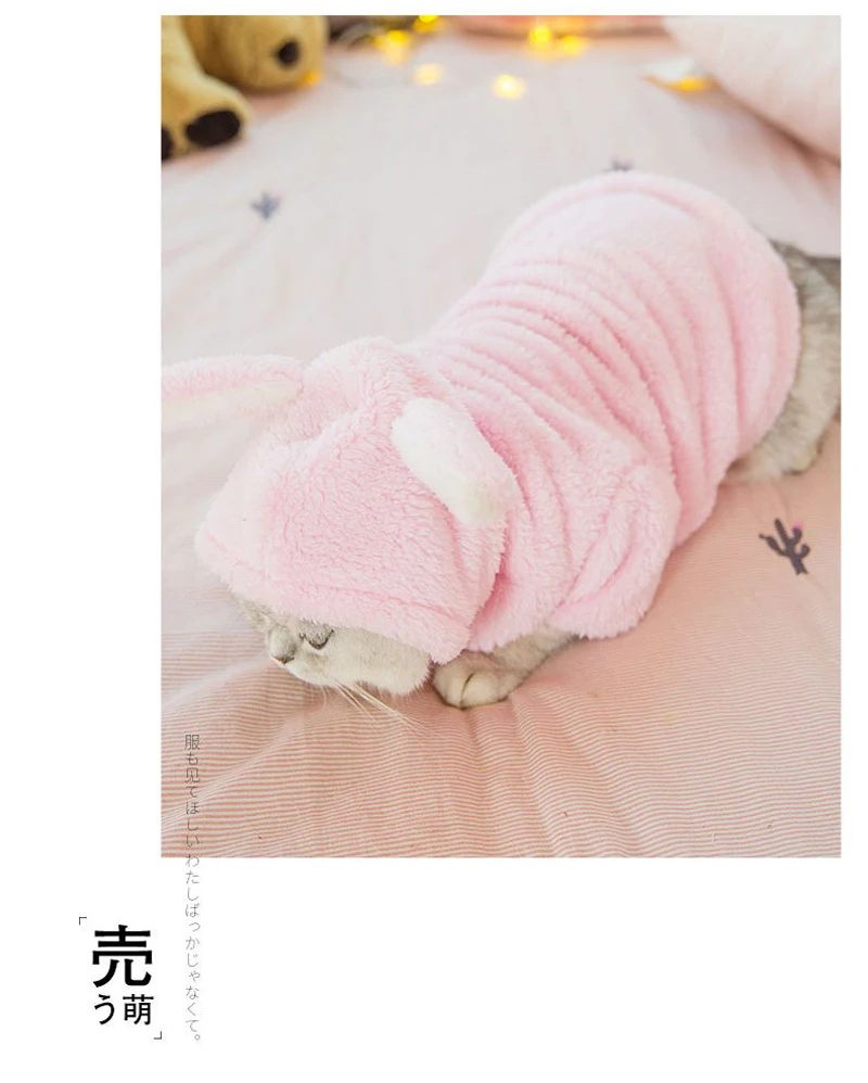 9360579243_859103132