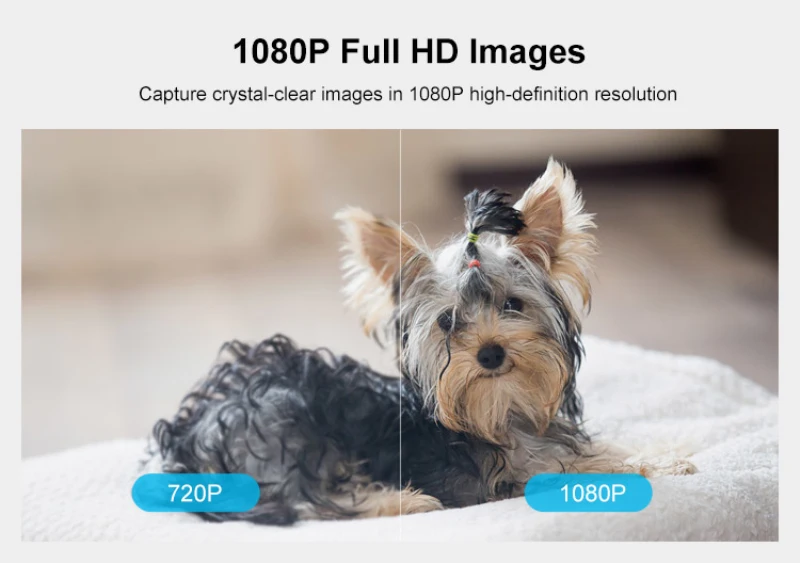 Sonoff GK-200MP2-B 1080P HD беспроводное WiFi приложение управление IP камера безопасности детектор движения 360 ° Просмотр активности оповещение