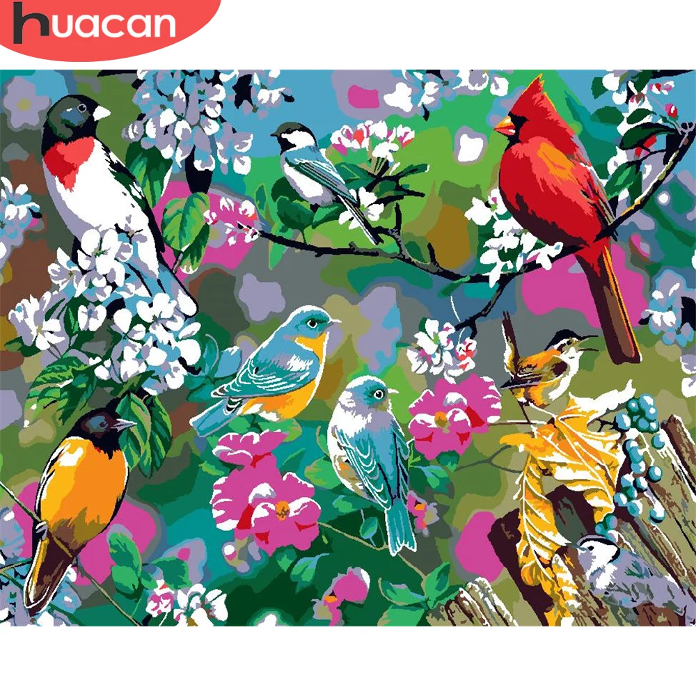 HUACAN краска по номеру Птица Рисование животных на холсте Ручная Краска ed