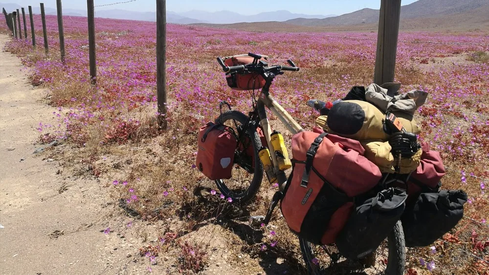 http___coresites-cdn.factorymedia.com_twc_wp-content_uploads_2018_07_Kate-Rawles-02