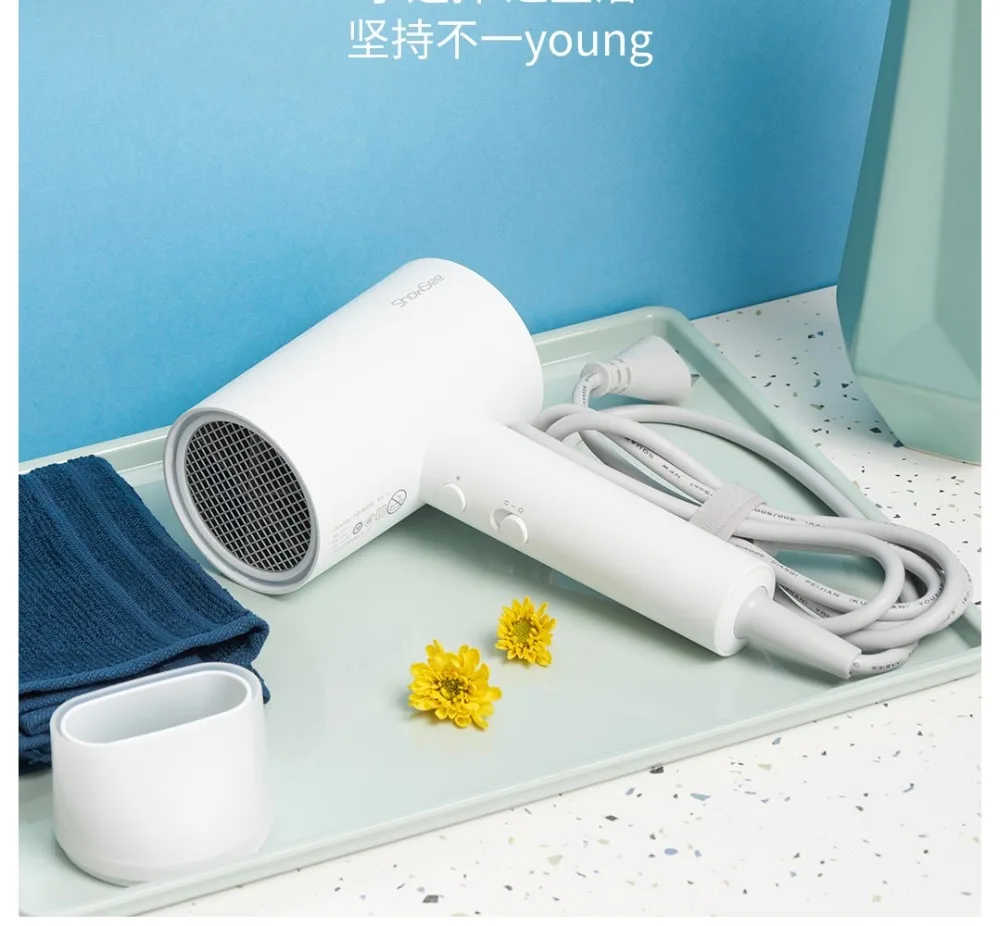 A1-W Anion Hair Dryer  (23)