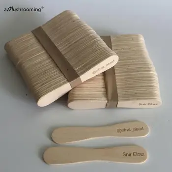 

100 Personalized Flat Ice Cream Lolly Sticks Popsicle Craft Sticks Kids DIY Projects Wood Body Cream Wax Paint Mixing Spatula