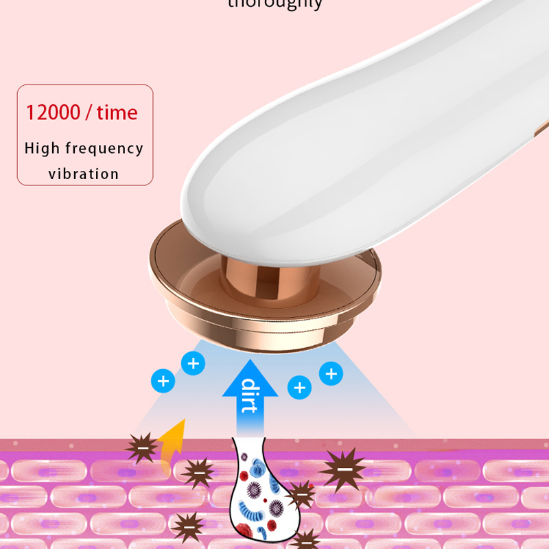 EMS Skin Care Beauty Device