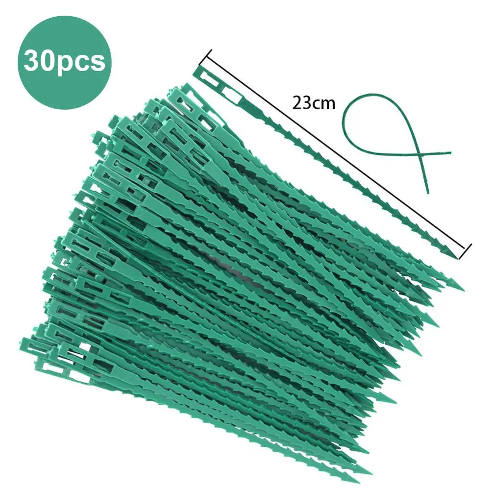 30PCS 23CM 50/30 шт рыбистый шпор Зеленый пейзаж многоразовые пластиковые стяжки для растений пояс Галстуки сад рыбья кость ленточные инструменты - Цвет: 30PCS 23CM
