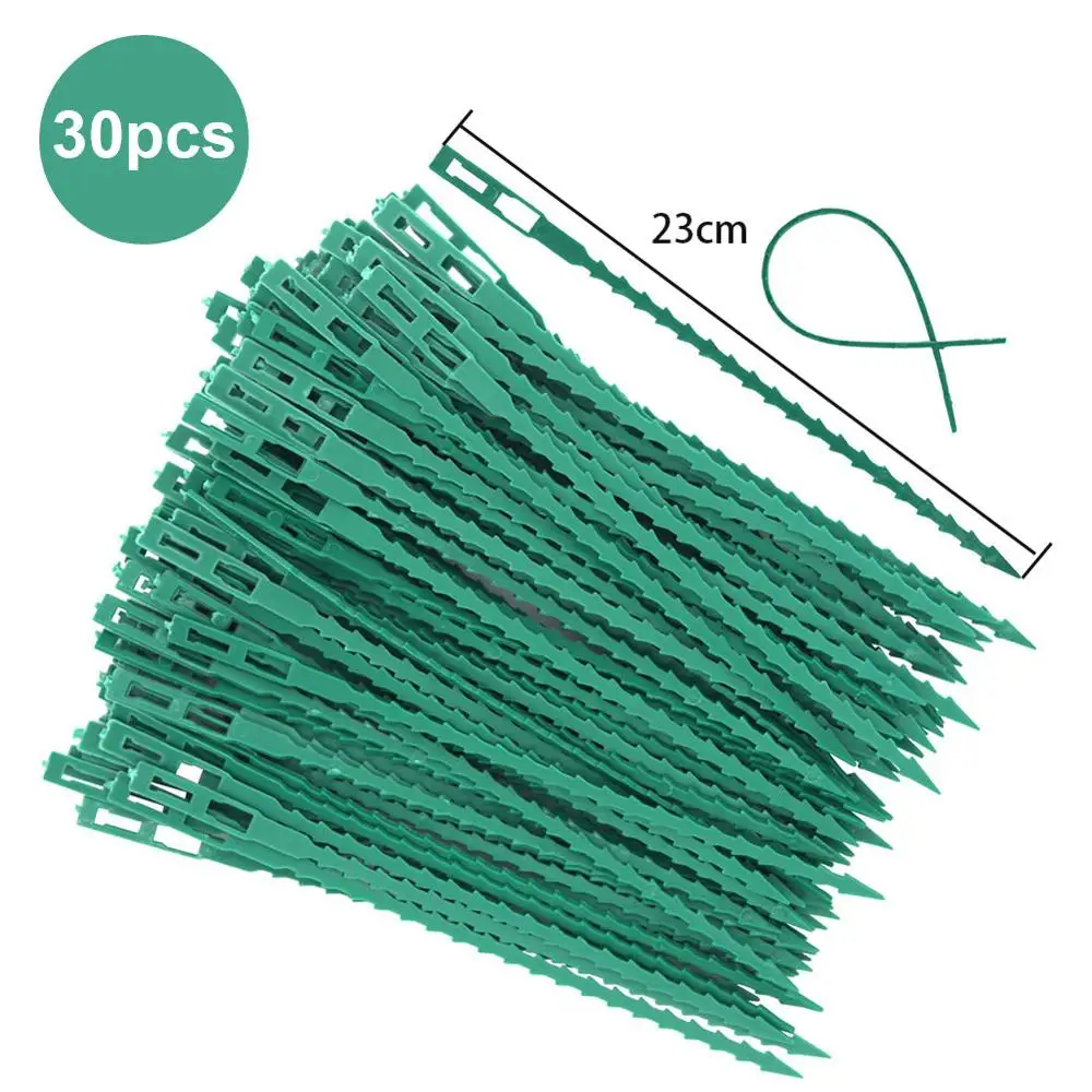 50/30 шт рыбистый шпор Зеленый пейзаж многоразовые пластиковые стяжки для растений пояс Галстуки сад рыбья кость ленточные инструменты - Цвет: 30PCS 23CM