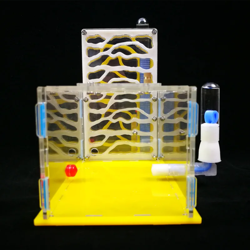 1 шт. Муравьиное гнездо акриловая муравьиная домашняя мастерская B1|ant nest|acryl antant
