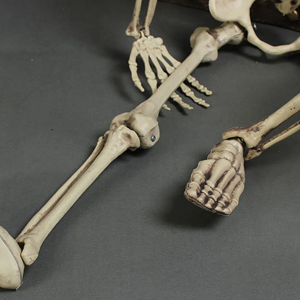 Poseable полный размер жизни Декорации для хелоуин вечеринки реквизит в виде скелета на Хэллоуин Праздник DIY украшения SEP9