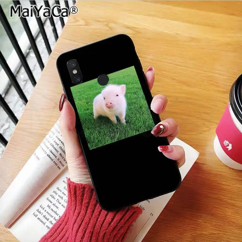 Couples Cartoon Lovely Pink Pet Pig
