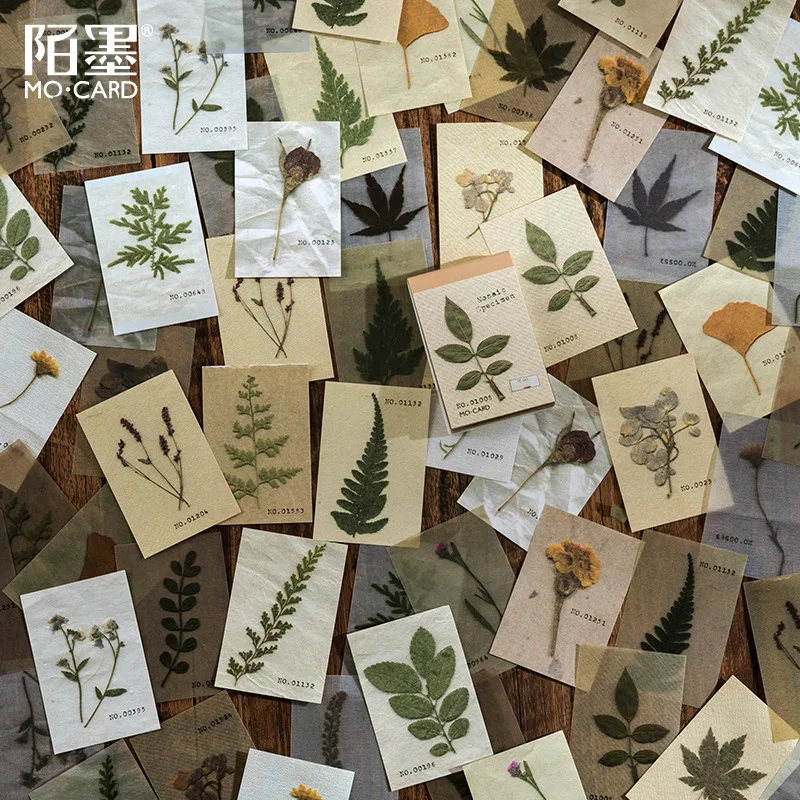 Stickers Sticker Flower Scrapbook Scrapbooking Plant Adorable Decorative Botany Retro Decals Foliage Leaves Delicate, Size: 4.00