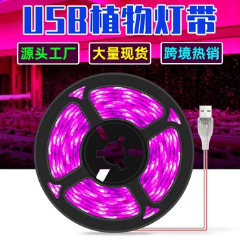 

Full Spectrum Led Grow Lamp Strip Touch Usb Plant 2835smd Adjustable Lights For Flower Seedling Phyto Lamp Strip Ambilight