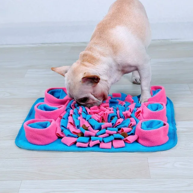 Dog Puzzle Interactive Training Toys  5