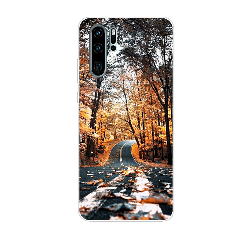 Чехол для мобильного телефона, чехол для huawei P30 Pro, Силиконовый ТПУ для телефона, задняя крышка на huawei P30 Pro, VOG-L29 ELE-L29 P 30 Lite, чехол
