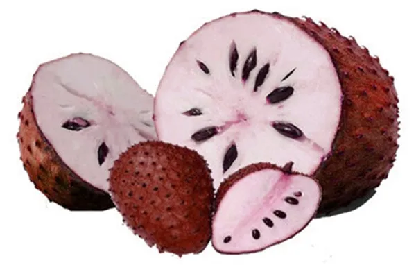 20 шт. Soursop бонсай фрукты, Graviola Annona муриката сладкий СОП вкусные фрукты бонсай сахар яблоко Annona дерево растение в бонсай